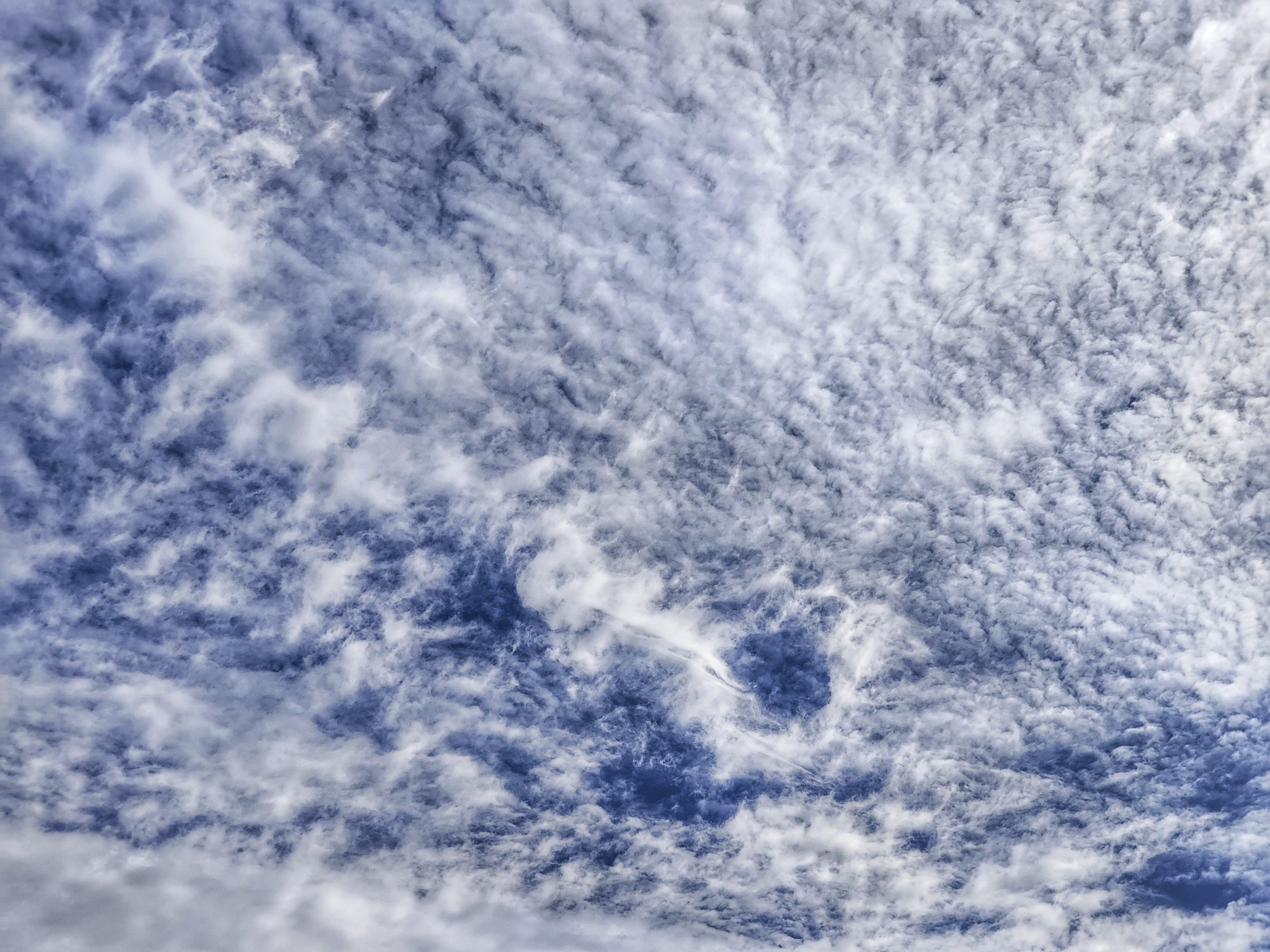 New obsession — clouds. Well, not really, because clouds have always fascinated me, and I have countless snapshots lingering in my photo library. But now a passing interest is turning into something more serious. Or maybe not. We'll see.

I think this one is altocumulus.