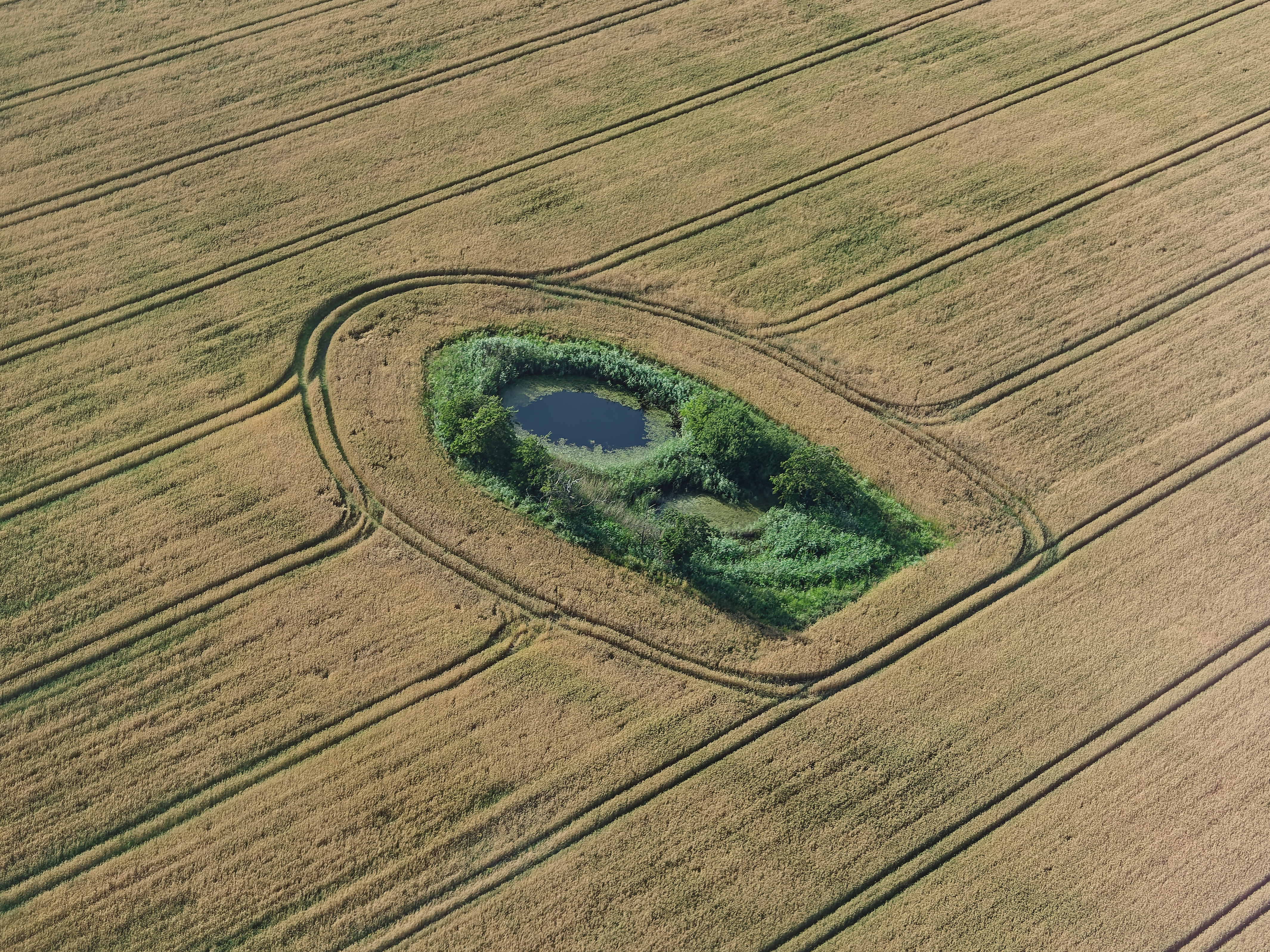Yesterday, I had a 1.5-hour flight over Northern Jutland in a Jabiru J170-UL. Wielding my Nikon D810 in such a small airplane was out of the question, so I had to make do with my Olympus PEN Lite E-PL7. Aerial photography is hard!