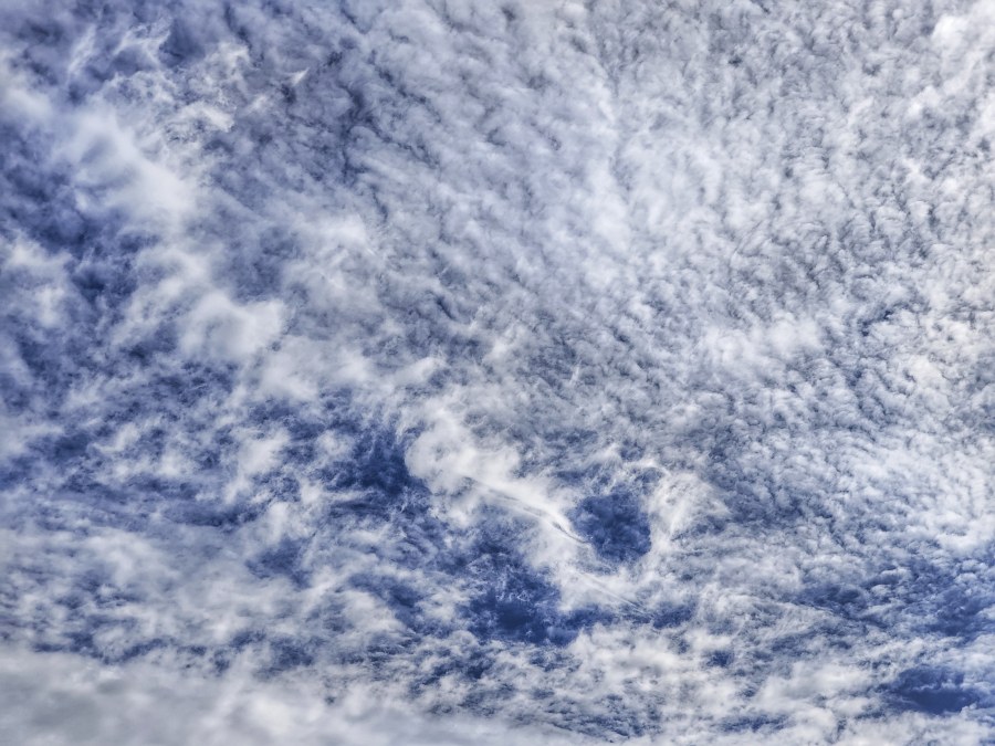 New obsession — clouds. Well, not really, because clouds have always fascinated me, and I have countless snapshots lingering in my photo library. But now a passing interest is turning into something more serious. Or maybe not. We'll see.

I think this one is altocumulus.