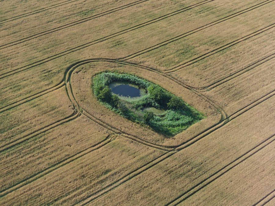 Yesterday, I had a 1.5-hour flight over Northern Jutland in a Jabiru J170-UL. Wielding my Nikon D810 in such a small airplane was out of the question, so I had to make do with my Olympus PEN Lite E-PL7. Aerial photography is hard!