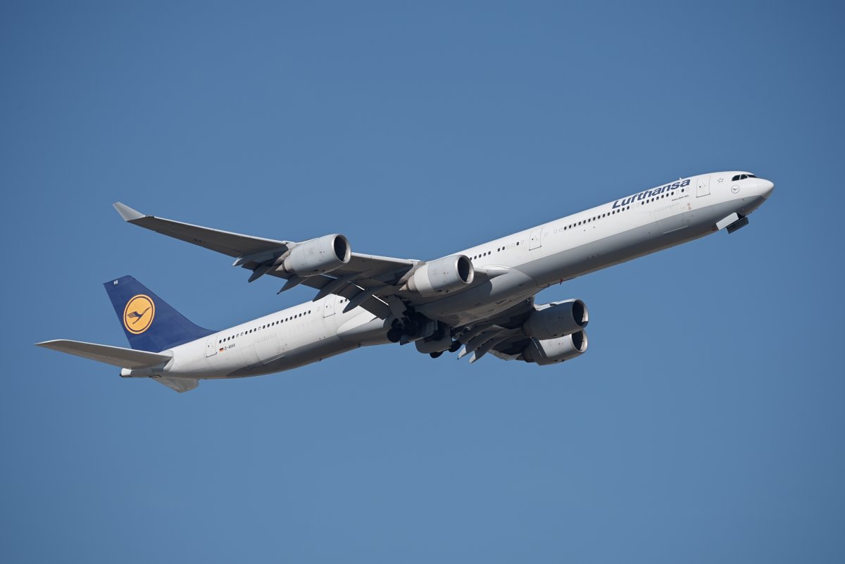 3C6518-20260925-113034-1.jpg
